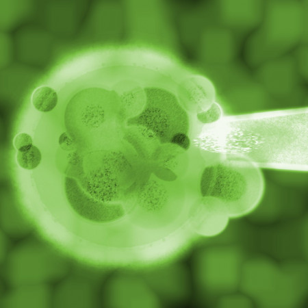 neue Hybridisierungstechniken Quadrat